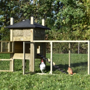 The chickencoop Rosa and the run are both provided with large doors