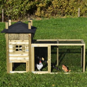 The haystack Rosa offers a lot of place for your chickens