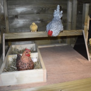 The chickencoop Rosa has a large sleeping compartment