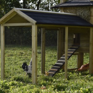 Have a look at the run of chickencoop Rosa