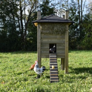 The chickencoop is suitable for 3 till 5 chickens
