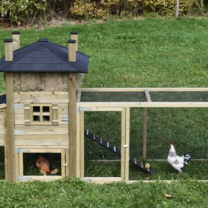 The chickencoop Rosa is extended with a run and a laying nest