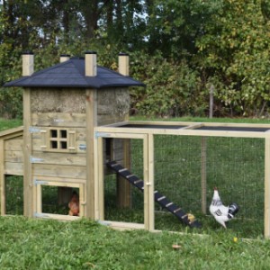 The chickencoop Rosa offers a lot of place for your chickens