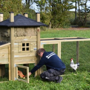 Under the hutch is a shelter for your chickens