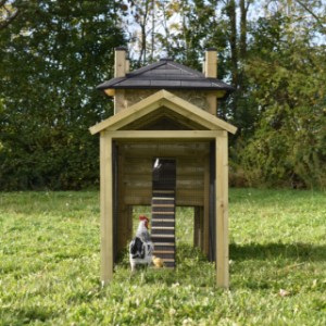 Have a look in the covered run of chickencoop Rosa