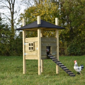 The haystack Rosalynn is a nice hutch for your chickens or your rabbits