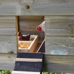 The chickencoop has a large opening to the sleeping compartment