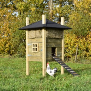 The rabbit hutch Rosalynn is an acquisition for your yard