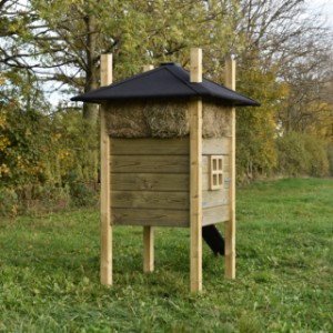 The rabbit hutch Rosalynn is also suitable for chickens