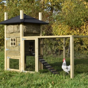 The chickencoop Rosalynn is an acquisition for your garden