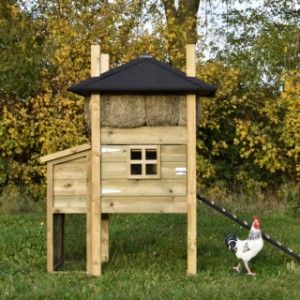 The hutch Rosalynn is a nice hutch for your chickens