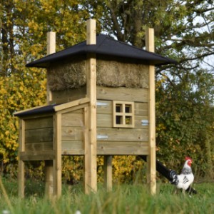 The chickencoop haystack Rosalynn is an acquisition for your yard!