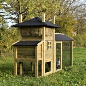 The chickencoop Rosalynn is made of impregnated wood