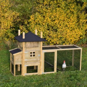 The chickencoop haystack Rosalynn is an acquisition for your garden!