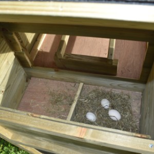 The laying nest is provided with a hinged roof
