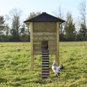The chickencoop haystack Rosanne is provided with a solid ramp