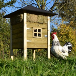 The hutch Rosanne is suitable for chickens and rabbits