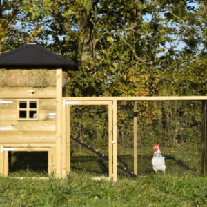 The rabbit hutch Rosanne is extended with an additional run