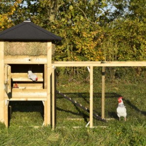 The chickencoop Rosanne is provided with large doors