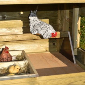 You can also order a laying box and perches