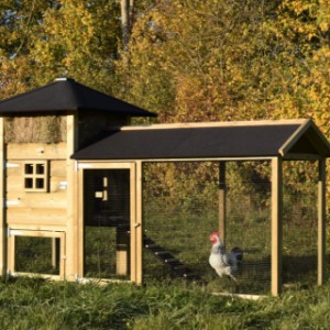 The chickencoop Rosanne is also suitable for rabbits