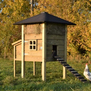 The chickencoop Rosanne is an acquisition for your yard!
