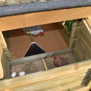 The laying nest of chickencoop Rosanne is provided with a hinged roof