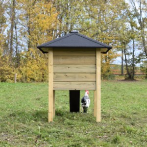 The chickencoop Rosy is also suitable for rabbits