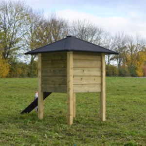 Have a look on the backside of rabbit hutch Rosy