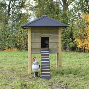 The chickencoop Rosy has many possibilities to extend