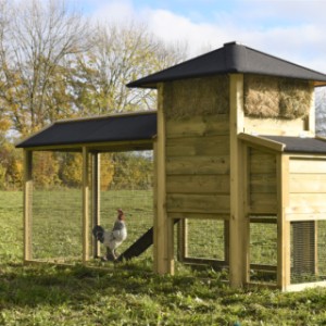 The run, the hutch and the laying nest are provided with black roofing felt