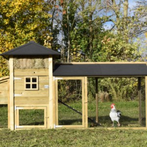 The chickencoop Rosanne is suitable for 3 till 5 chickens