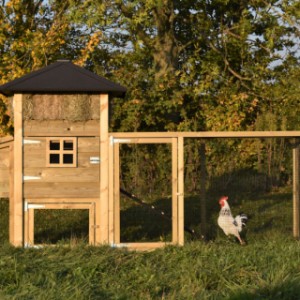 The hutch Rosanne is suitable for 3 till 5 chickens