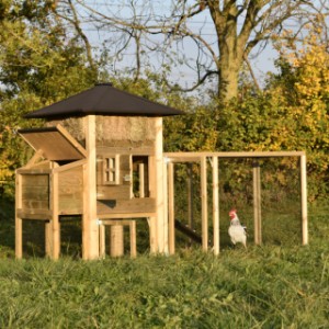 The chickencoop Rosanne is provided with large doors