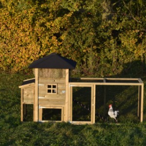 The chickencoop Rosanne offers a lot of space for your chickens