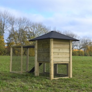 Rabbit hutch Rosy is an acquisition for your yard