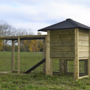 Have a look on the backside of rabbit hutch Rosy