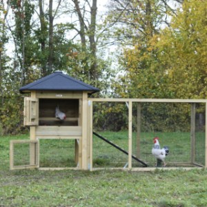 The chickencoop Rosy is provided with large doors