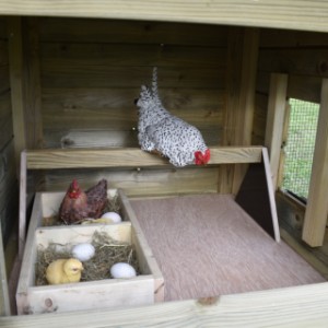 You can also order perches and a nesting box