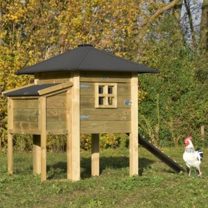 Chickencoop Rosy with laying nest 137x114x145cm