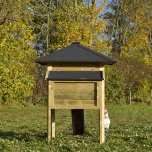 The chickencoop Rosy and the laying nest are both provided with black roofing felt