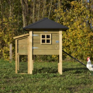 The chickencoop Rosy is made of impregnated wood