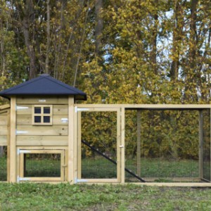 Chickencoop Rosy is an acquisition for your yard