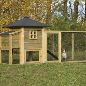 Chickencoop Rosy with run and laying nest 294x114x145cm