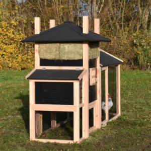 The ground dimensions of the chickencoop Rosalynn are 296x81cm