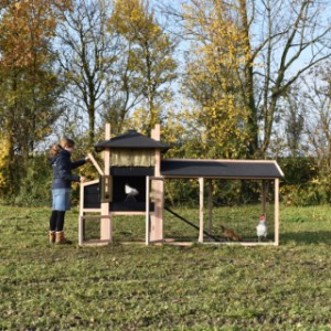 The laying nest has a hinged roof, so that you can easily collect the eggs