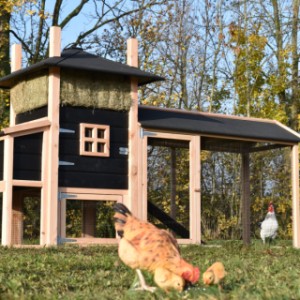 The chickencoop Rosalynn is an acquisition for your garden!