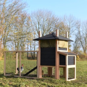 The chickencoop Rosalynn is made of Douglaswood and black impregnated wood