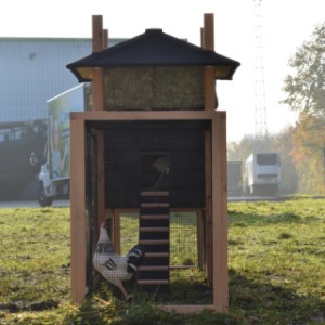 Have a look in the run of the chickencoop Rosalynn