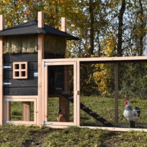 The chickencoop Rosalynn is an acquisition for your yard